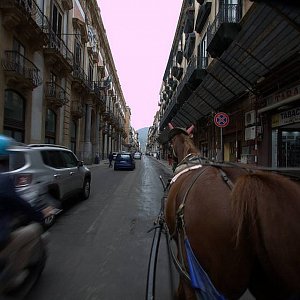 Palermo3